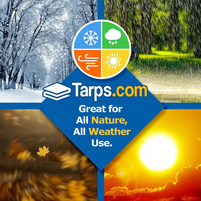 All-Purpose Economy Poly Tarps - Tarps.com
