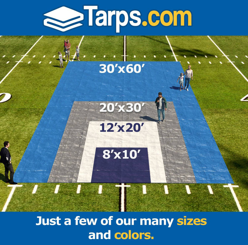 Load image into Gallery viewer, All-Purpose Economy Poly Tarps - Tarps.com