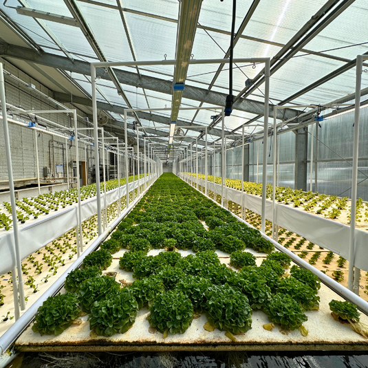 The Hardware and the Harvest: Tarps.com and The Aquaponic Source