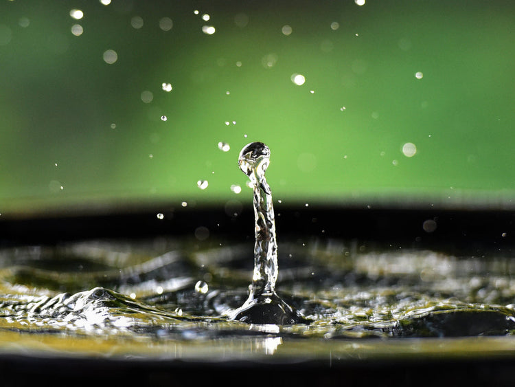 Turn a Tarp Into a Water Collection System