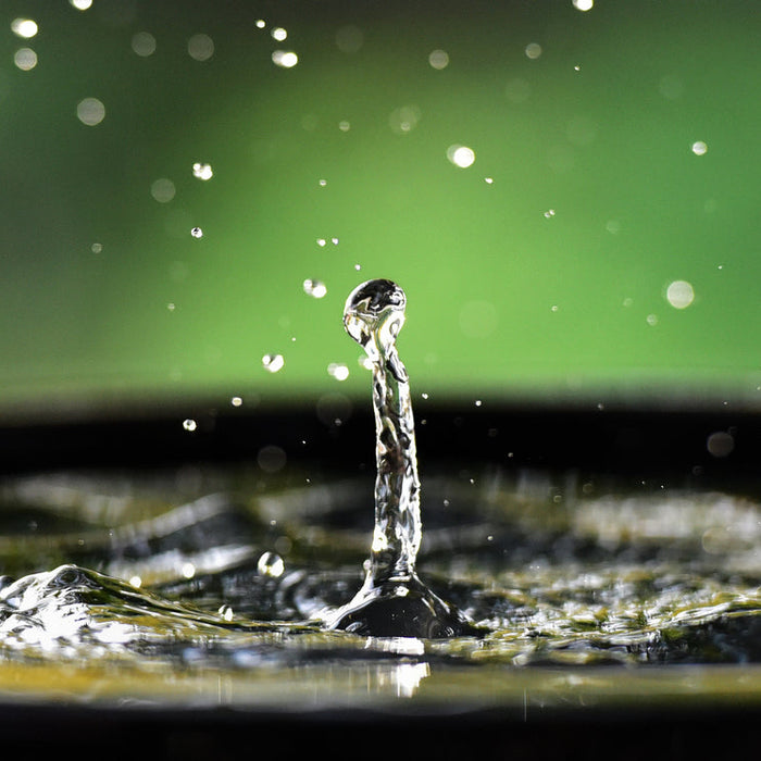 Rainwater Harvesting with Tarps