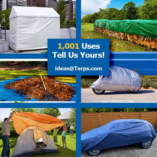 All-Purpose Economy Poly Tarps - Tarps.com