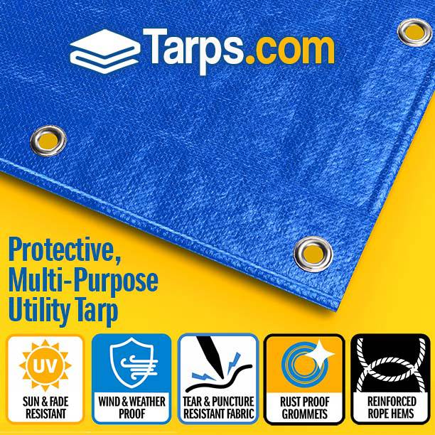 All-Purpose Economy Poly Tarps - Tarps.com