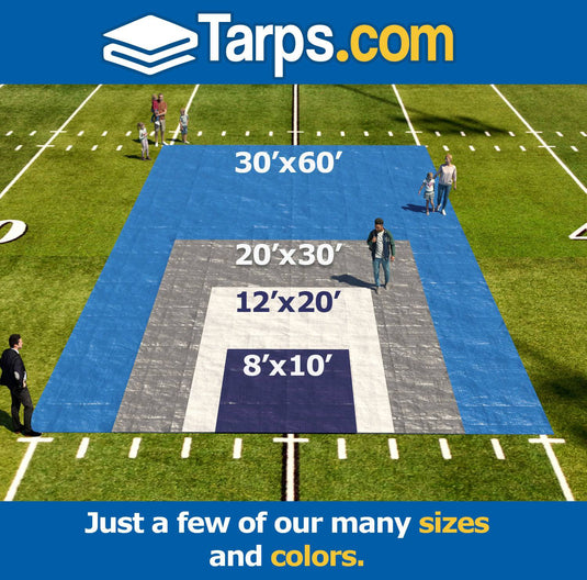 All-Purpose Economy Poly Tarps - Tarps.com